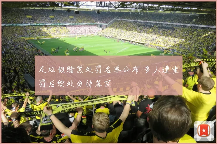 足坛假赌黑处罚名单公布 多人遭重罚后续处分待落实