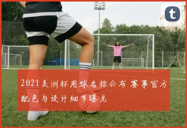 2021美洲杯用球名称公布 赛事官方配色与设计细节曝光