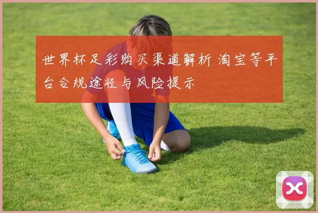 世界杯足彩购买渠道解析 淘宝等平台合规途径与风险提示