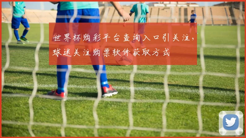 世界杯购彩平台查询入口引关注,球迷关注购票软件获取方式