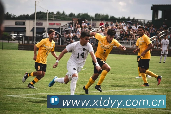 开云(中国)Kaiyun·官方网站 - 登录入口APP 高清赛事图